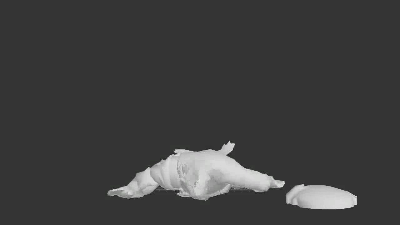 盾牌小兵_前扑死亡